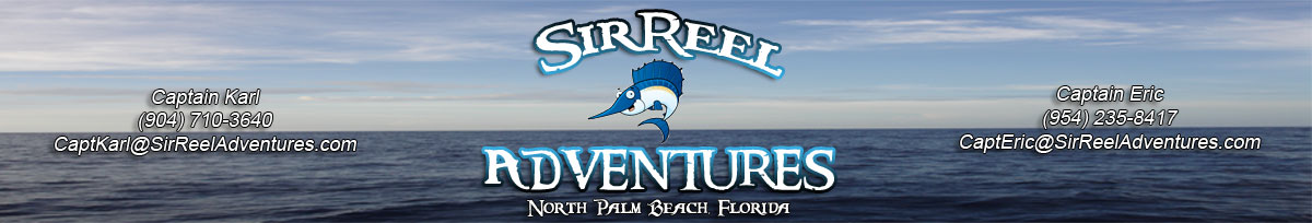 Sir Reel Adventures Banner